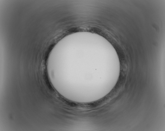 X0000113990707200910021010