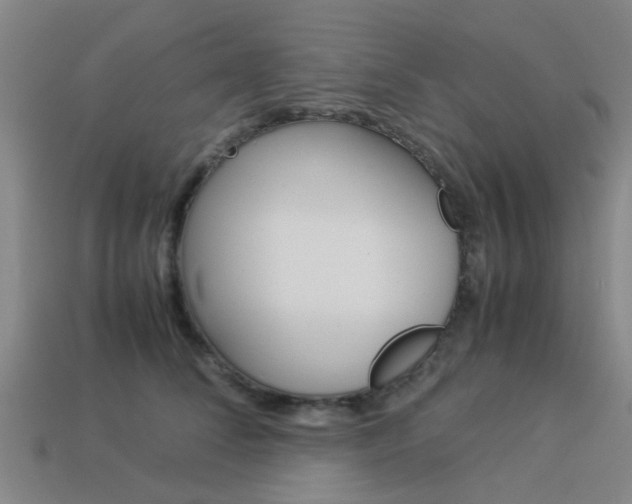 X0000113990708200910021010