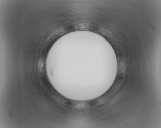 X0000113990709200910021010