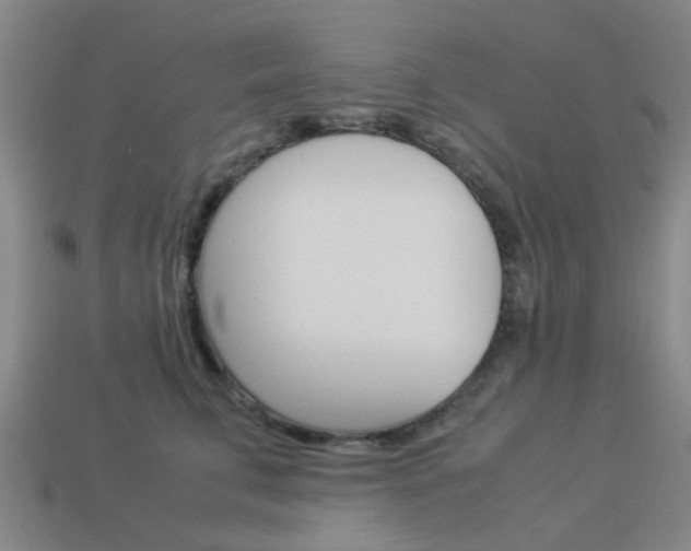 X0000113990711200910021010