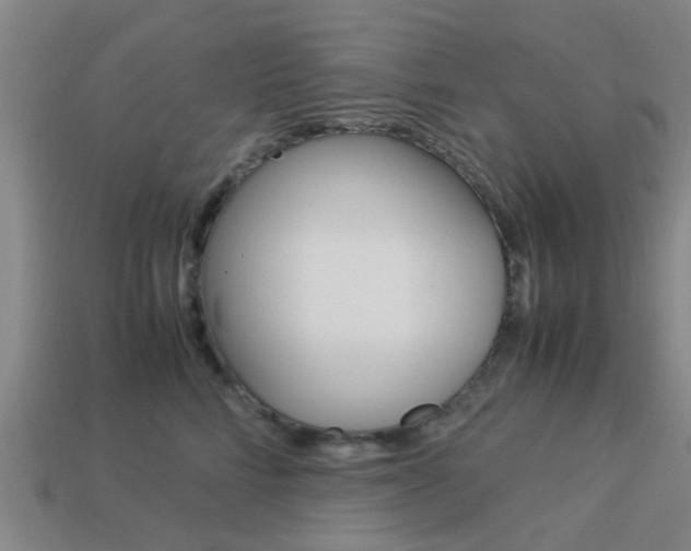X0000113990712200910021010