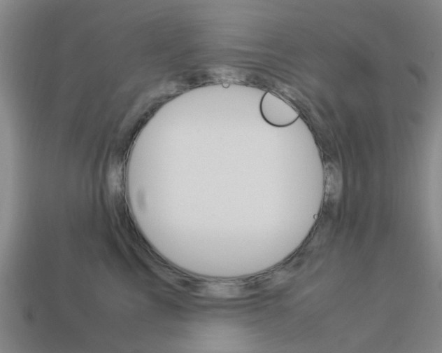 X0000113990713200910021010