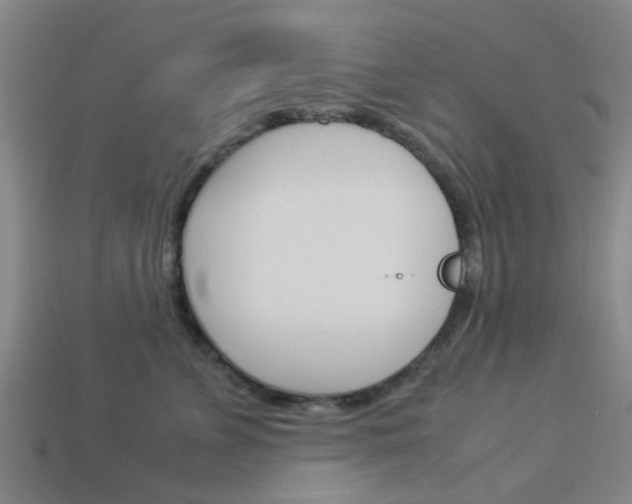 X0000113990715200910021010