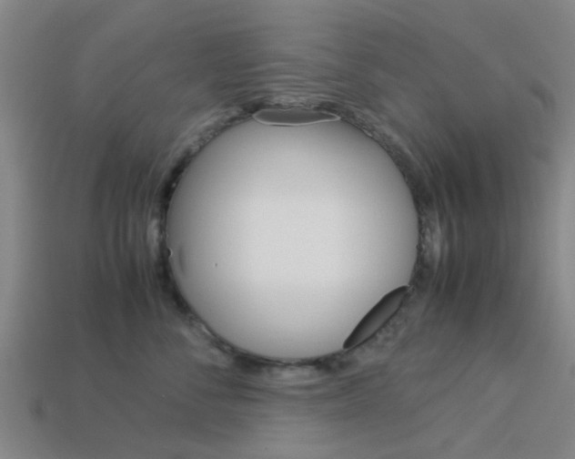 X0000113990716200910021010