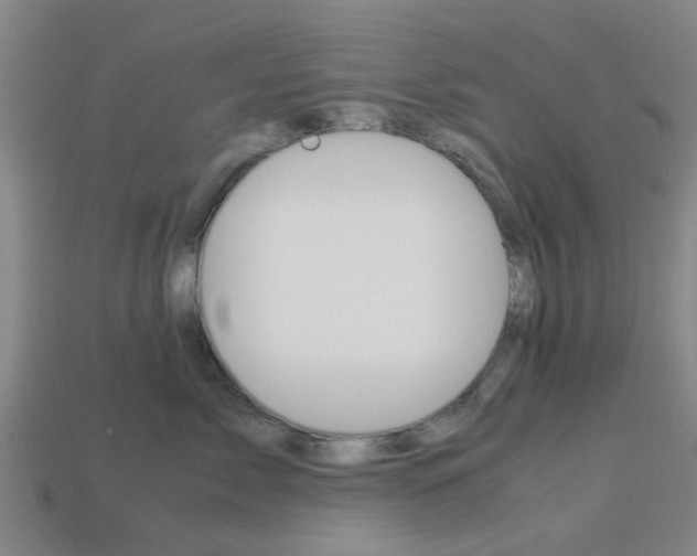 X0000113990717200910021010
