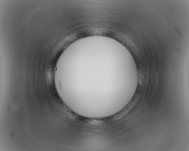 X0000113990718200910021010