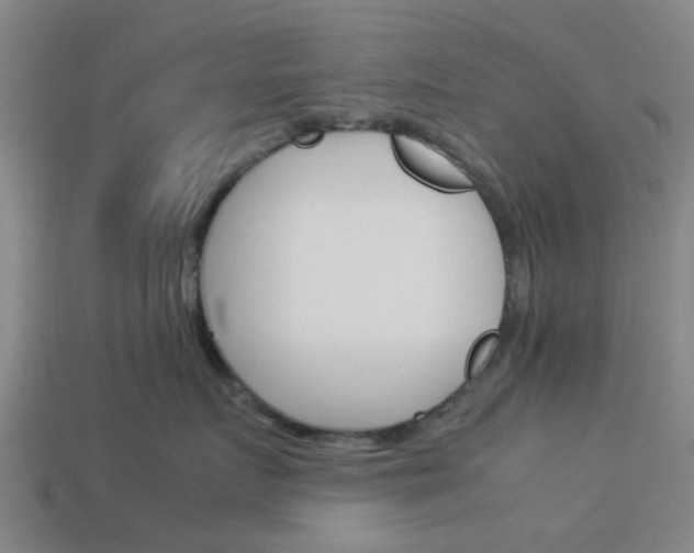 X0000113990719200910021010