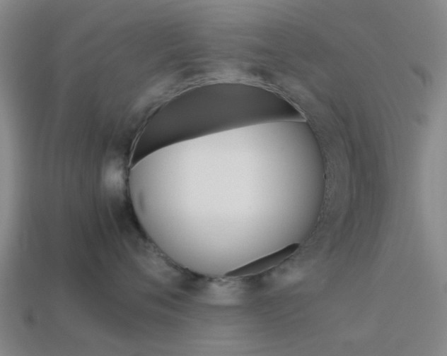 X0000113990720200910021010