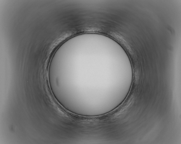 X0000113990721200910021009