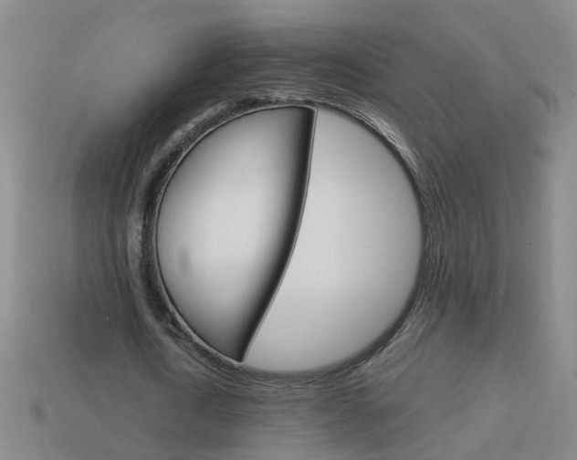 X0000113990722200910021009