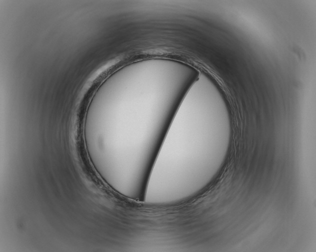 X0000113990724200910021009