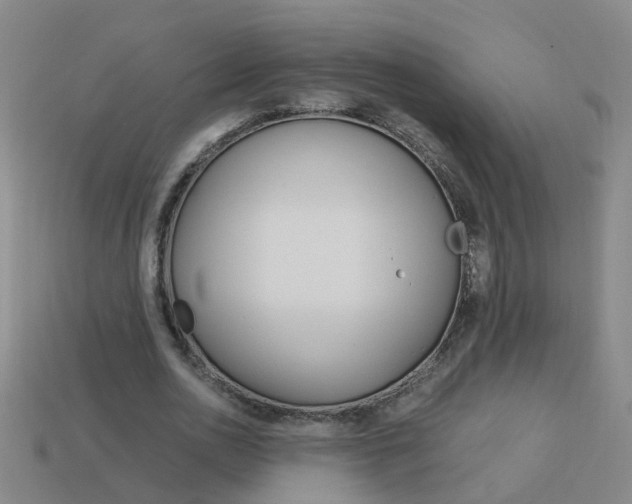 X0000113990726200910021009