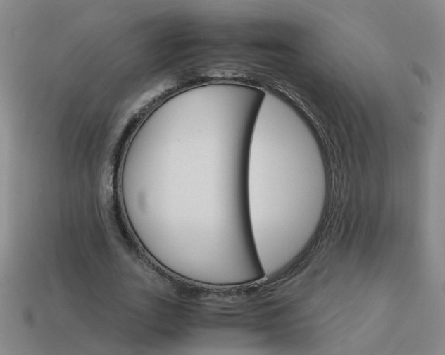 X0000113990727200910021009