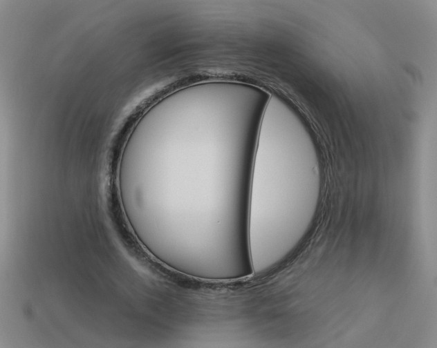 X0000113990728200910021009
