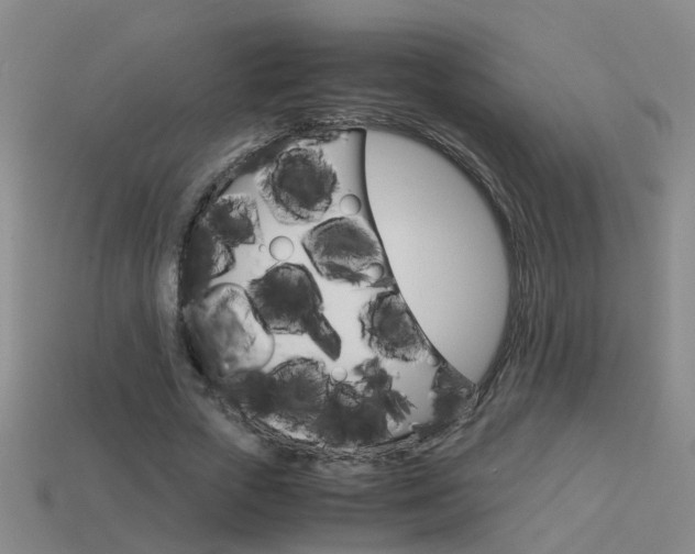X0000113990729200910021009
