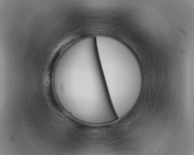 X0000113990731200910021009