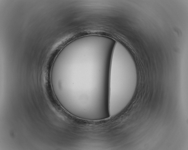 X0000113990732200910021009