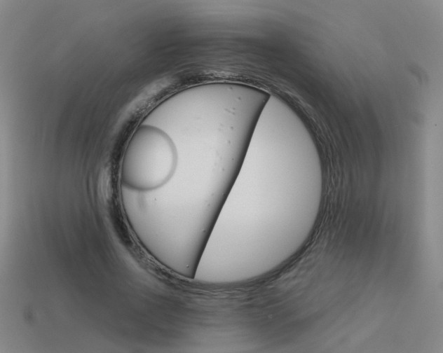 X0000113990734200910021009