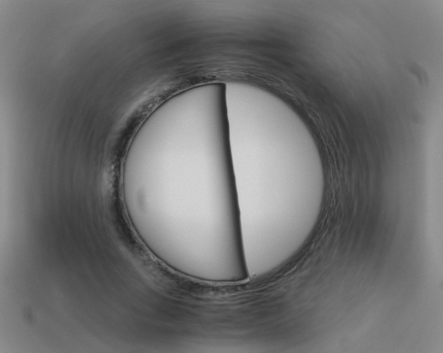 X0000113990735200910021009