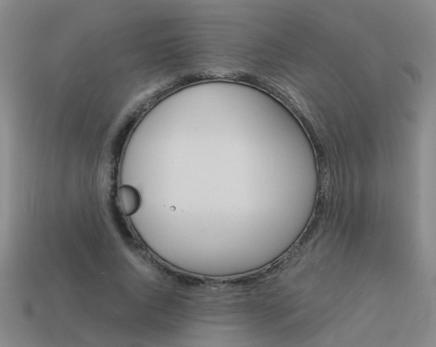 X0000113990736200910021009