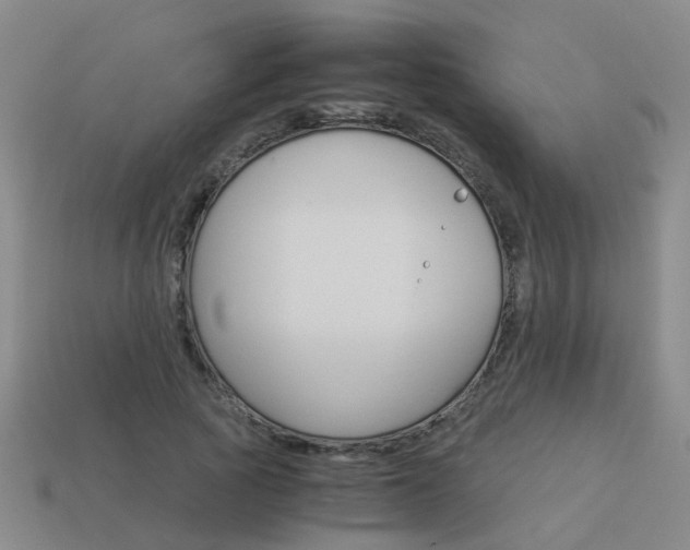 X0000113990737200910021009