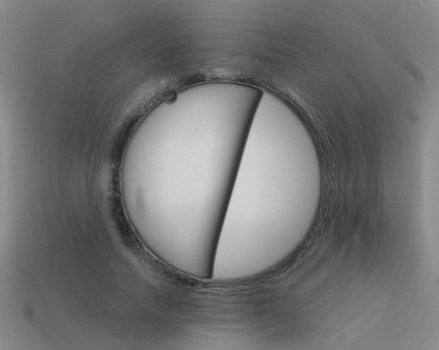 X0000113990738200910021009