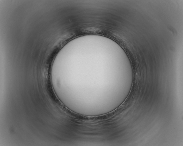 X0000113990739200910021009