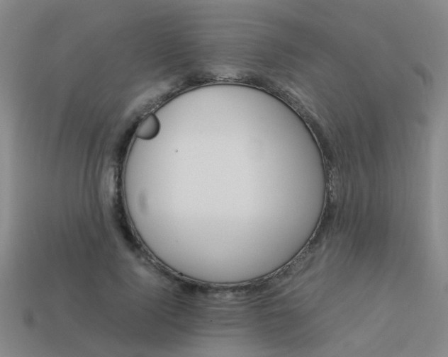 X0000113990740200910021009