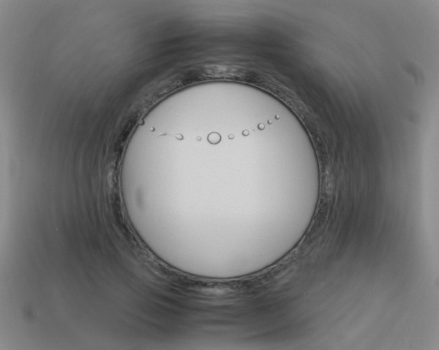 X0000113990741200910021009