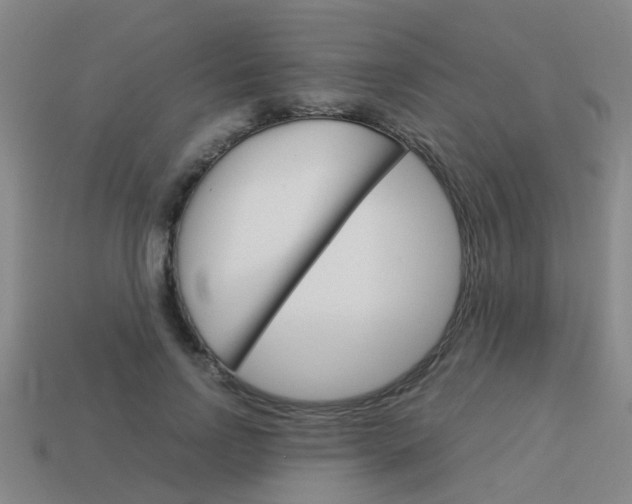 X0000113990742200910021009