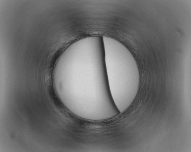 X0000113990743200910021009