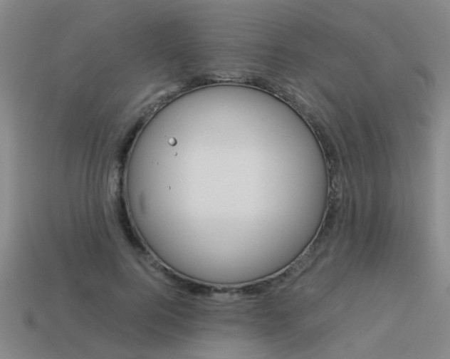 X0000113990744200910021009