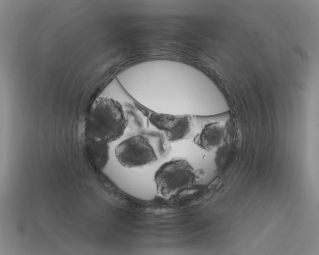 X0000113990745200910021009