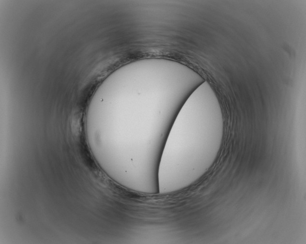 X0000113990746200910021009