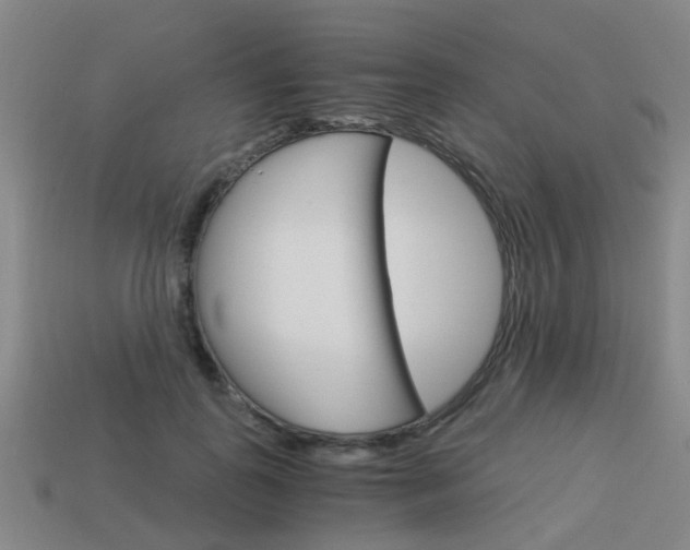 X0000113990747200910021009