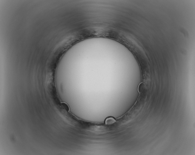 X0000113990748200910021009