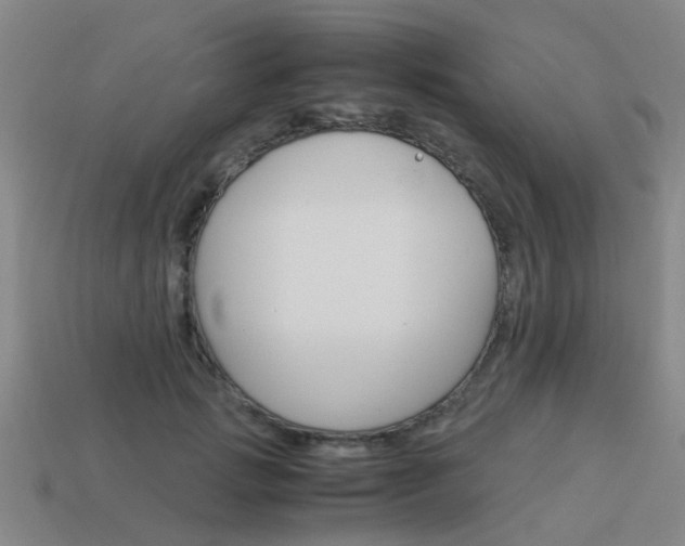X0000113990749200910021009