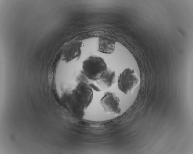 X0000113990753200910021010