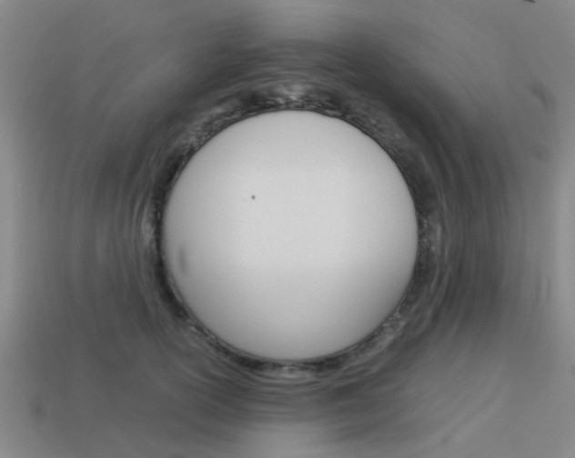 X0000113990754200910021010