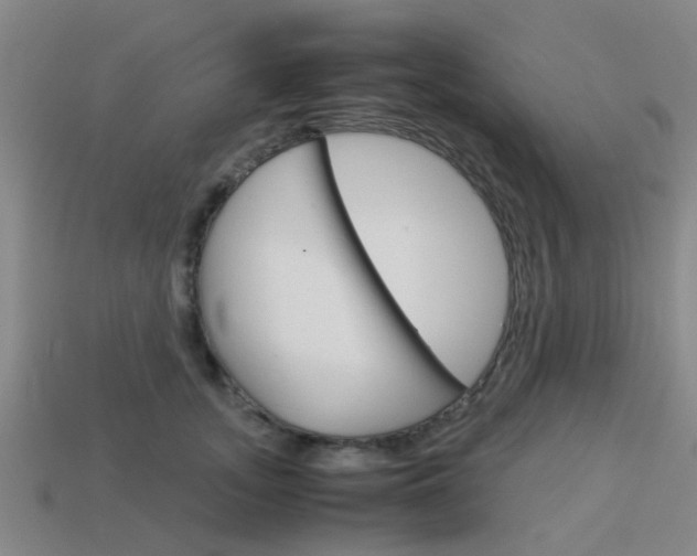 X0000113990755200910021010