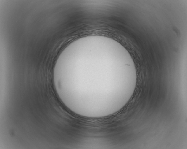 X0000113990756200910021010