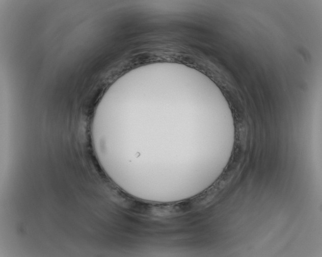 X0000113990757200910021010