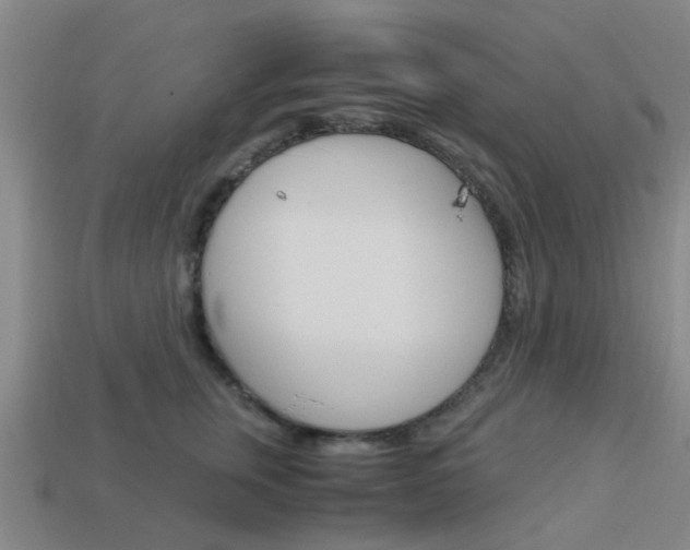 X0000113990759200910021010
