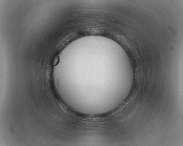 X0000113990760200910021010