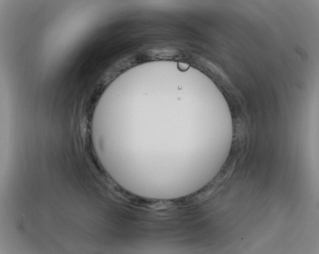 X0000113990761200910021010