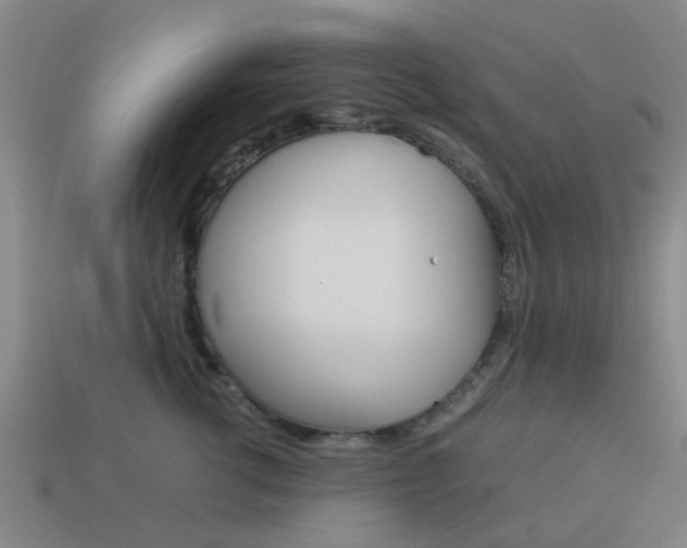 X0000113990762200910021010