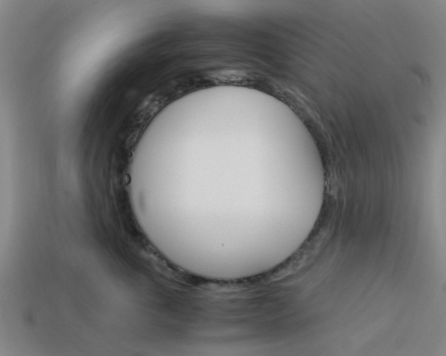 X0000113990763200910021010
