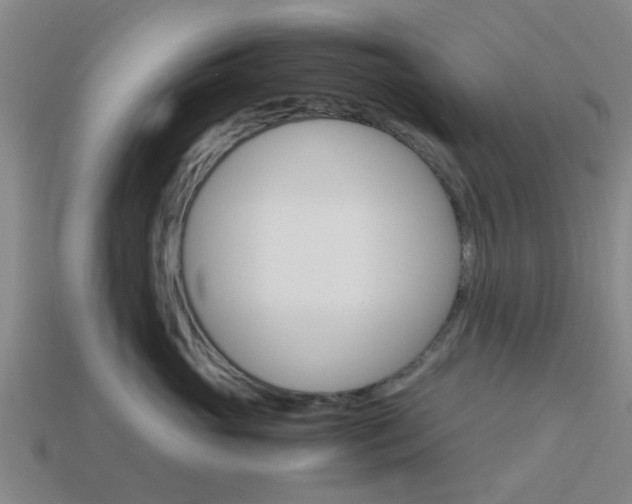 X0000113990765200910021010