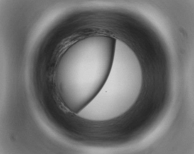 X0000113990766200910021010