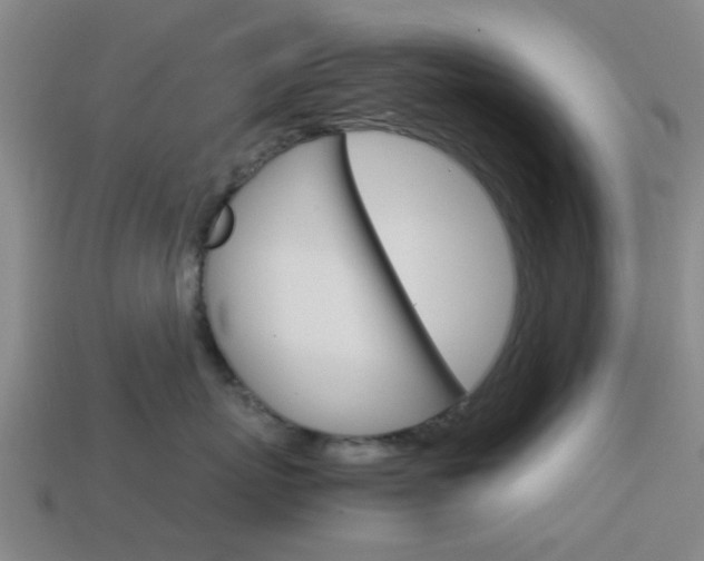 X0000113990767200910021010